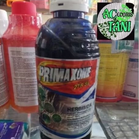 Primaxone_276xl