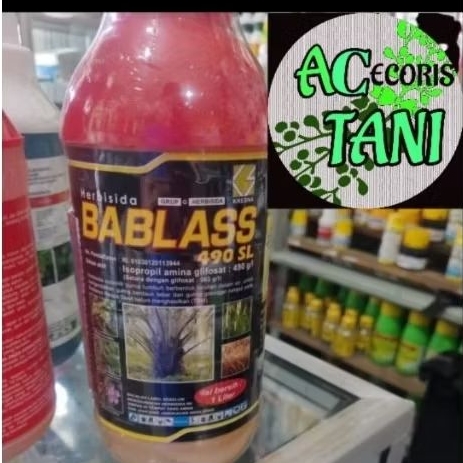BABLASS_490XL