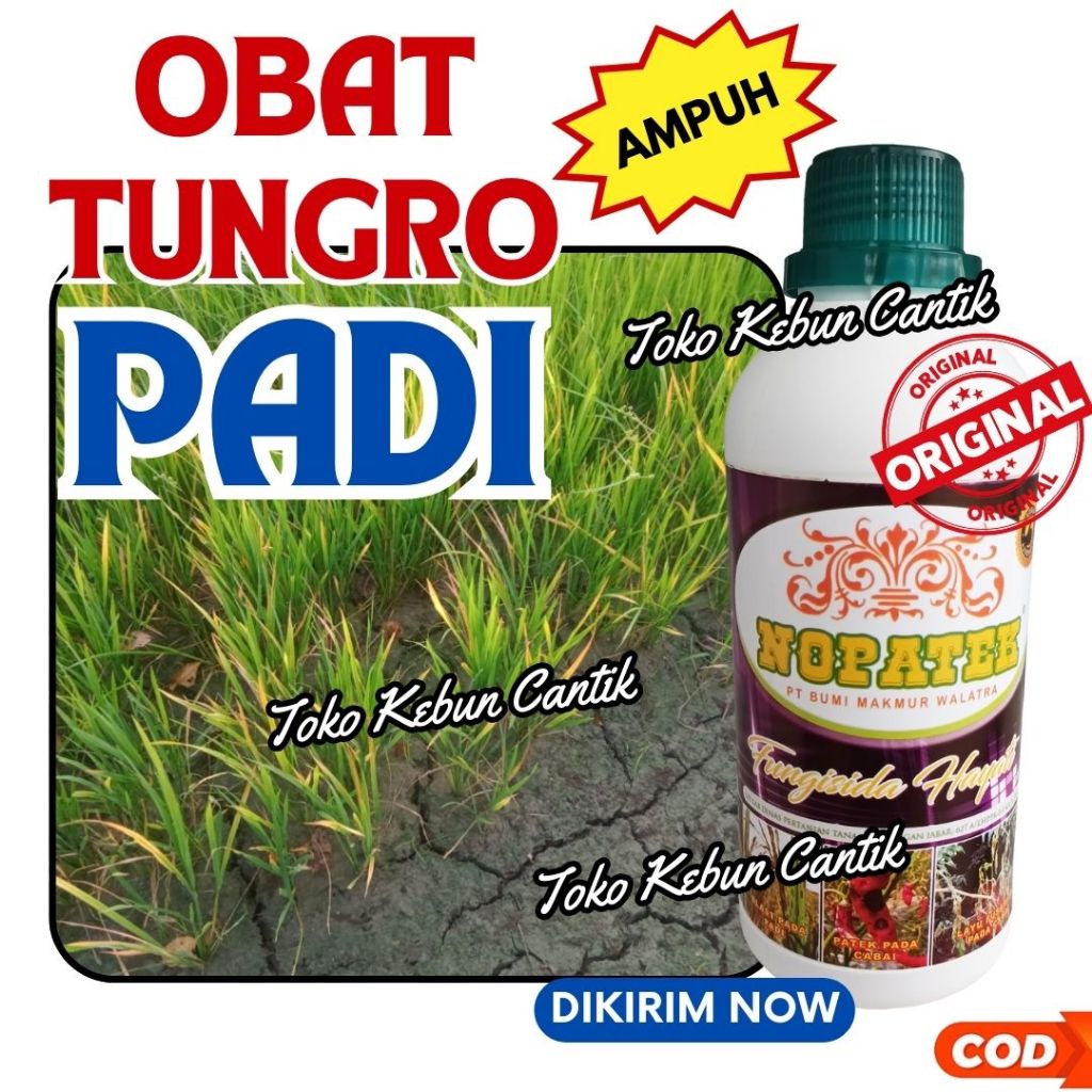 Fungisida Hayati Padi NOPATEK 500ml Obat Blast dan Tungro Padi Ampuh