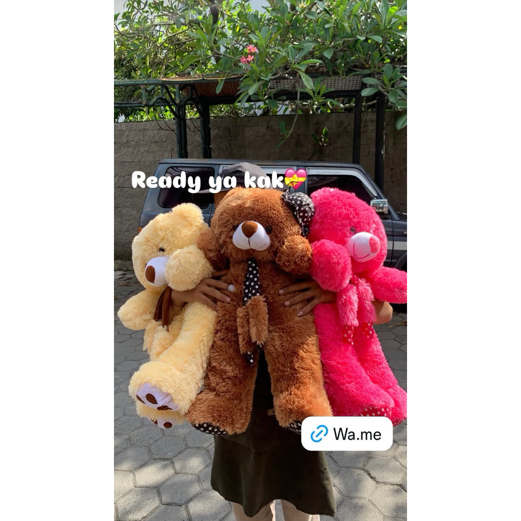 [KHUSUS JOGJA] Boneka Teddy Beruang Jumbo / Boneka Jumbo dan XL