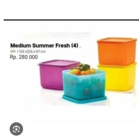 MEDIUM SUMMER TUPPERWARE