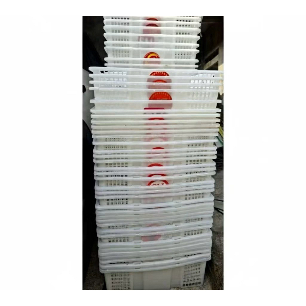 Keranjang Buah Putih Bekas Bahan Tebal Layak Pakai