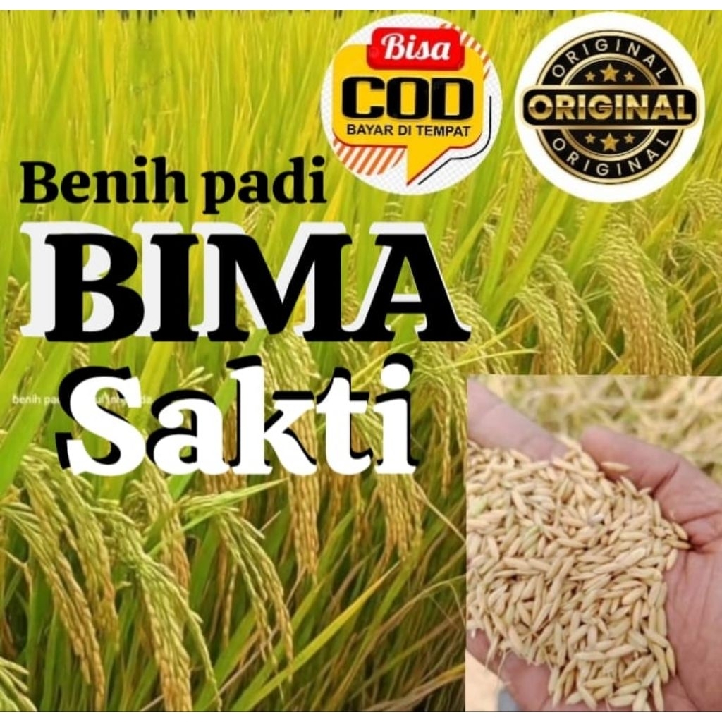 BENIH PADI UNGGUL BIMA SAKTI KEMASAN 1KG