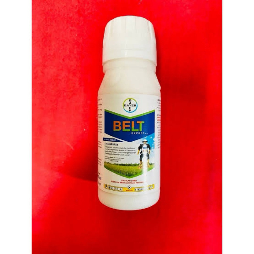 belt expert 480sc 100ml