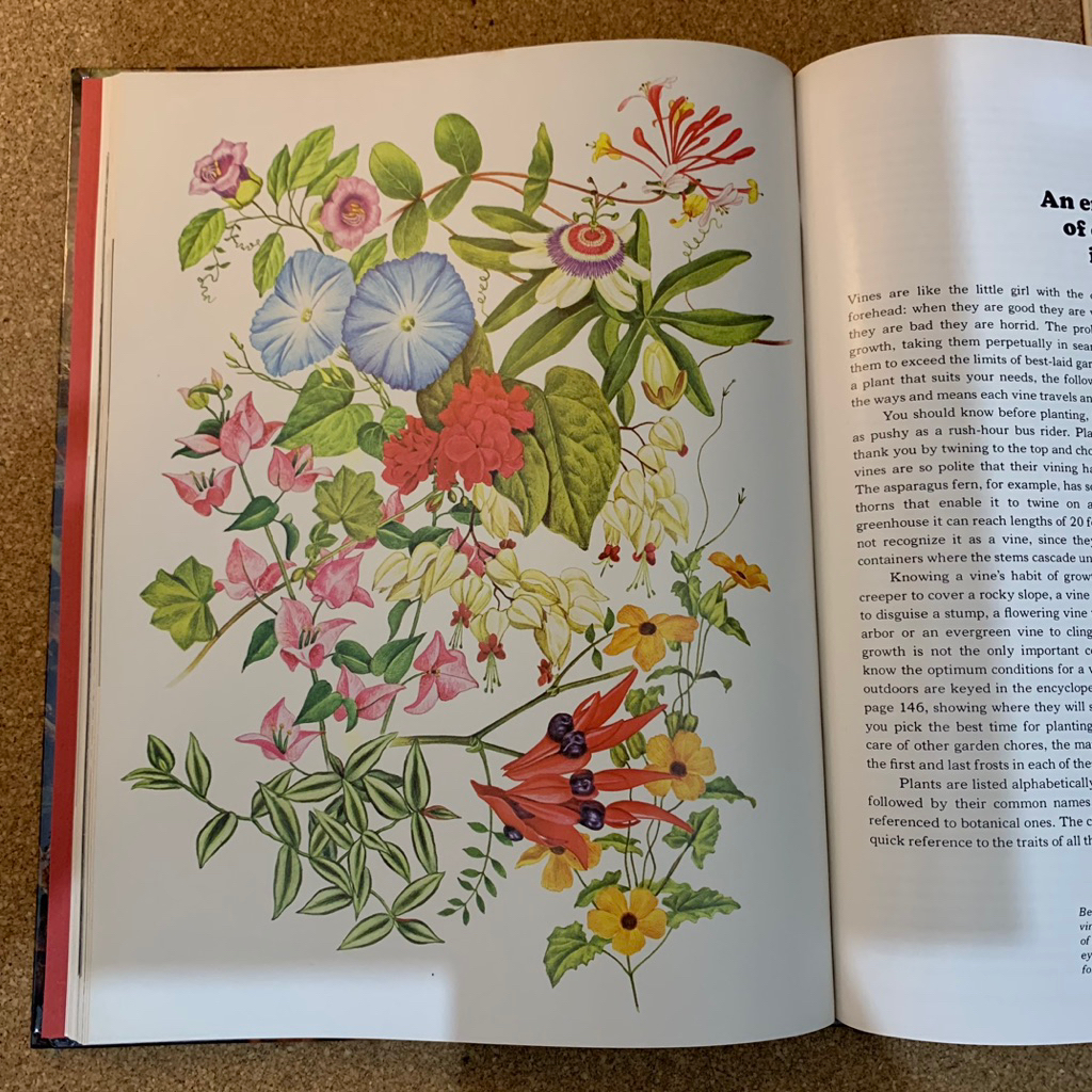 Vines | The time life encyclopedia of gardening