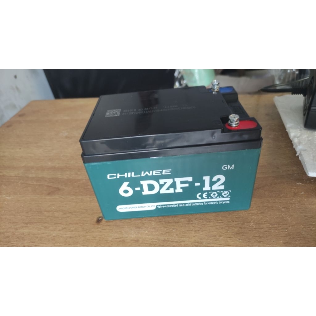 Aki Sepeda listrik Chilwee 48 - 12 Ecer