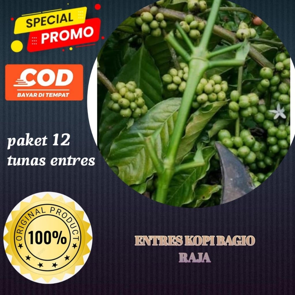 Entres kopi bagio raja paket isi 12