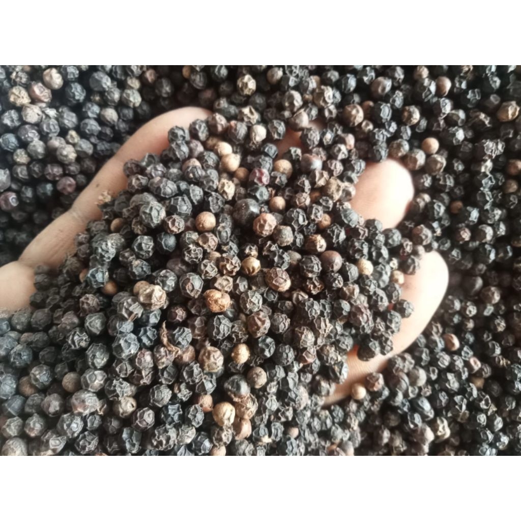 lada hitam 1kg