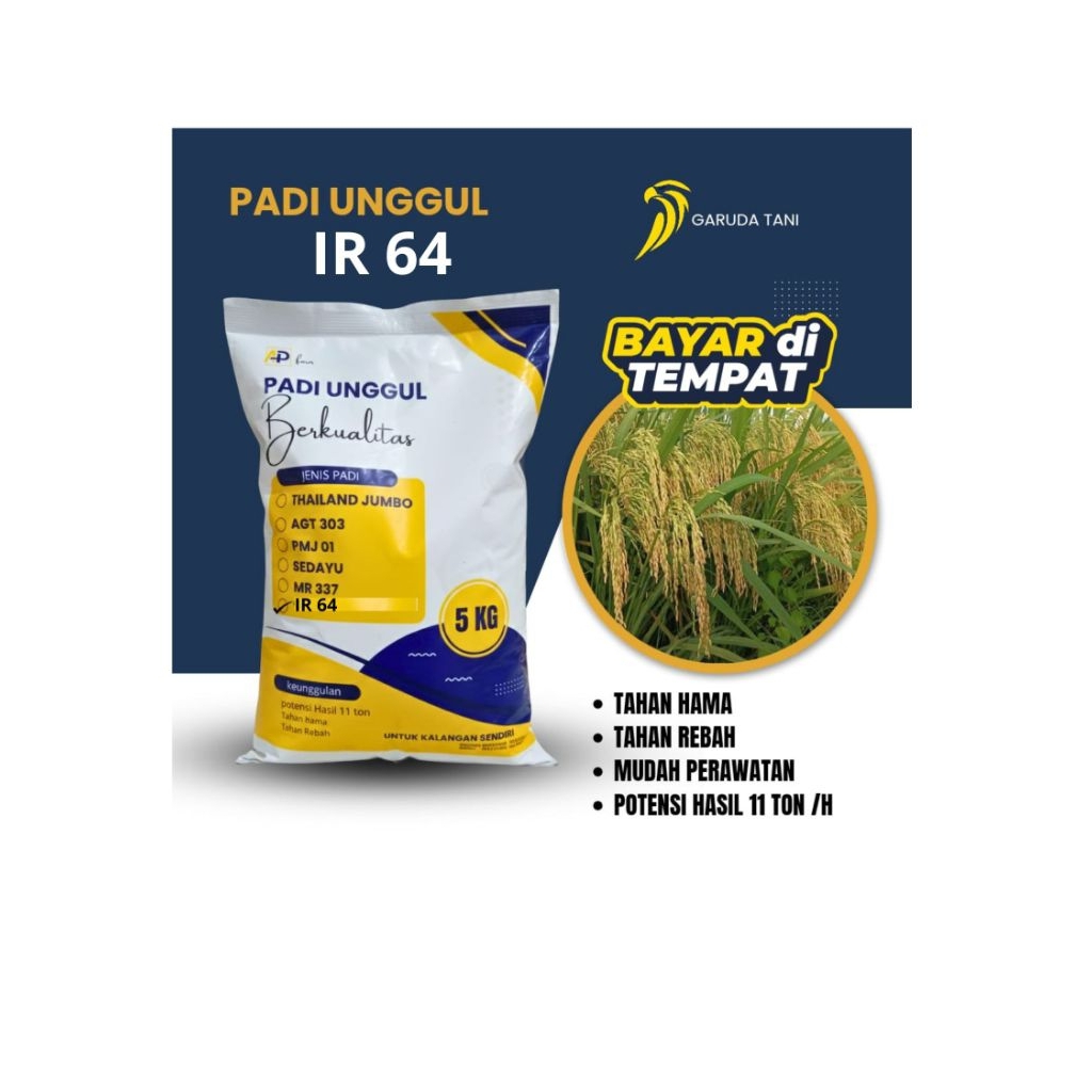 Benih padi unggul IR 64 kemasan 5kg berkualitas tinggi,Bibit padi unggul,Benih padi unggul