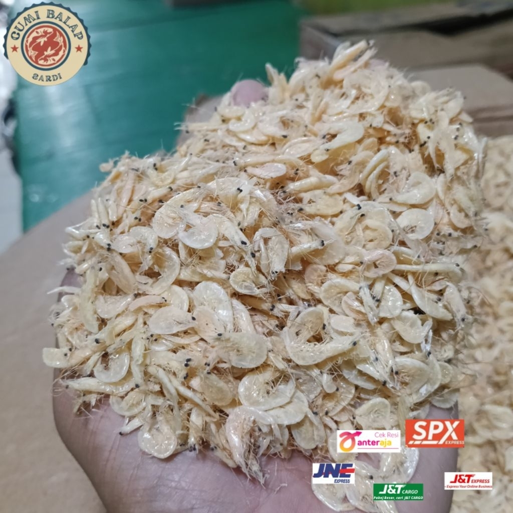 udang rebon/rebon asin/ikan udang rebon.