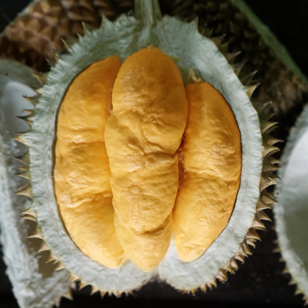 PROMOSATU BUAH DURIAN MEDAN UTUH PREMIUM