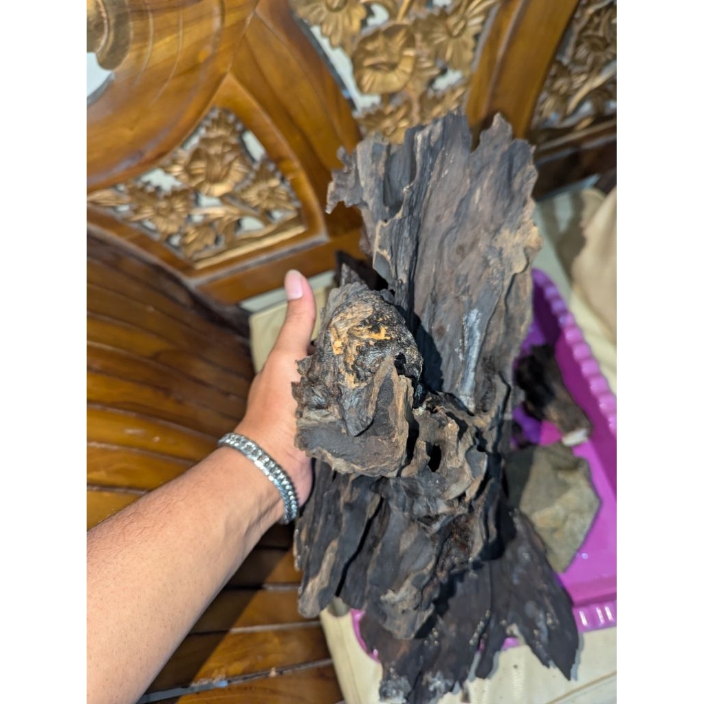 kayu aquascape
