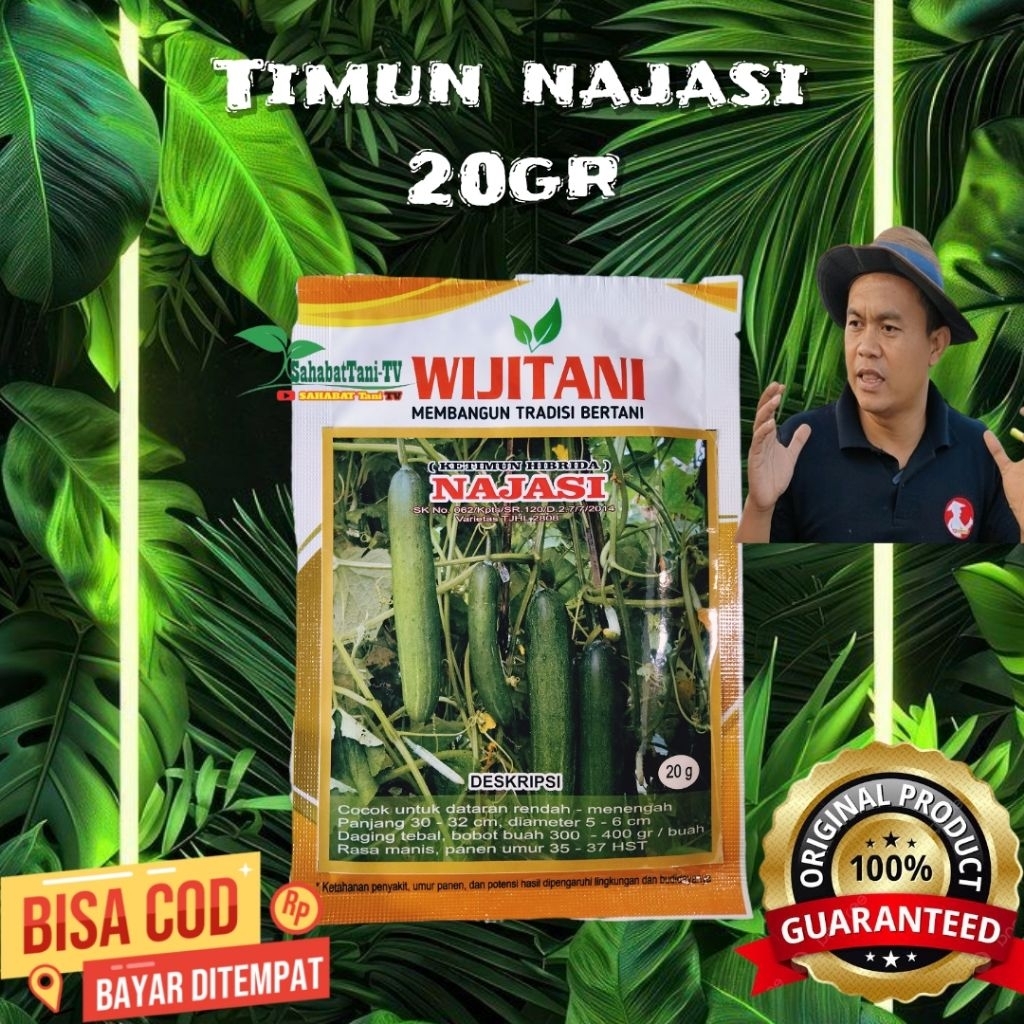 BENIH TIMUN NAJASI 20GR WIJITANI