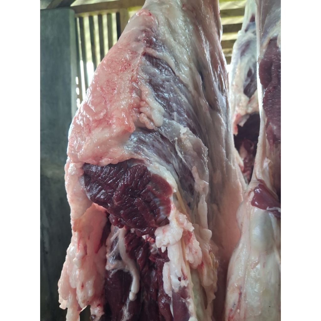 Daging paha kambing depan & paha belakang