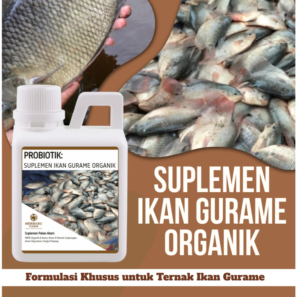 Suplemen Probiotik Ikan Gurame 500 ML Organik Alami Gurame Lebih Aktif