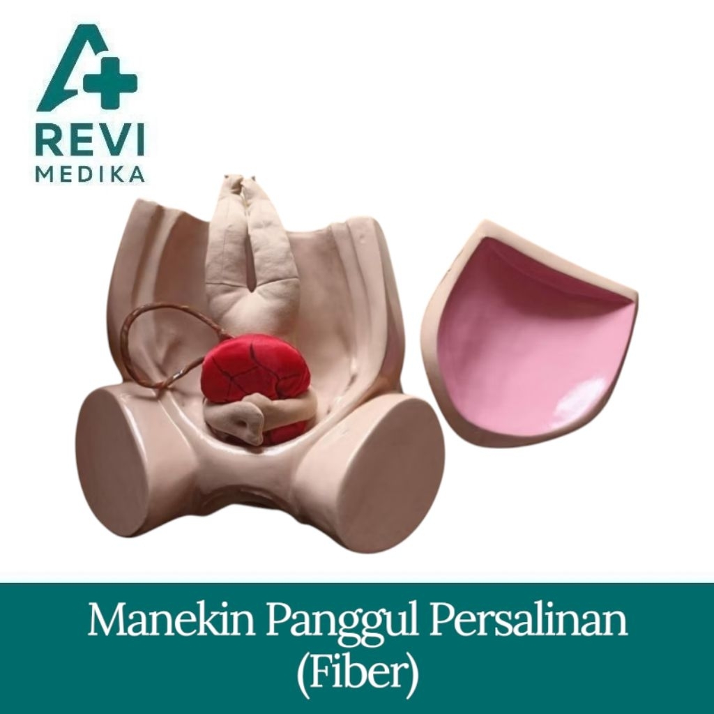 PHANTOM MANEKIN PANGGUL PERSALINAN FIBER/ PERAGA MANIKIN PANGGUL PERSALINAN