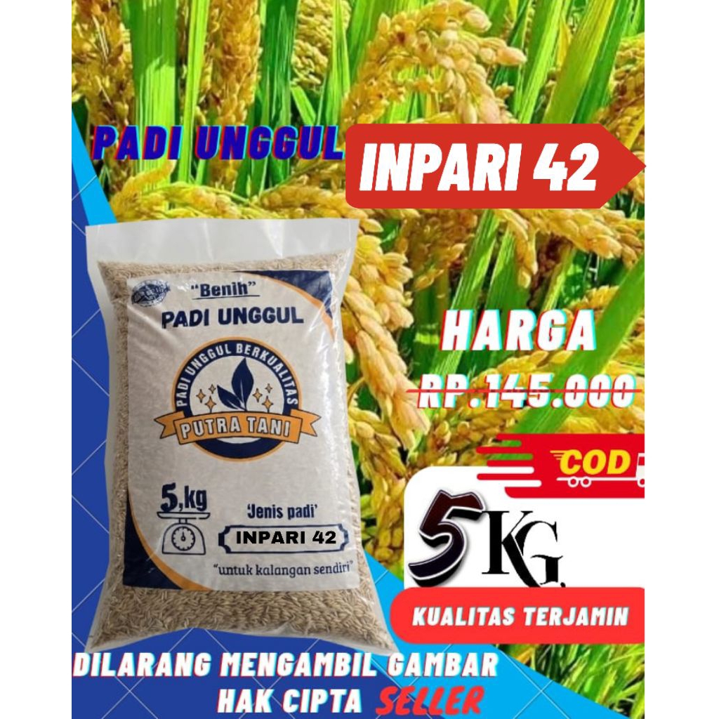 Benih Padi Unggul INPARI 42,Kemasan 5kg kualitas premium