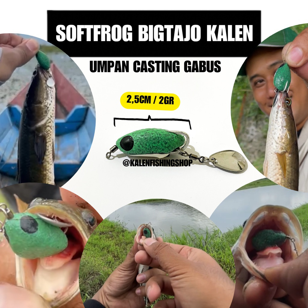 SOFTFROG BIGTAJO KALEN / UMPAN CASTING GABUS