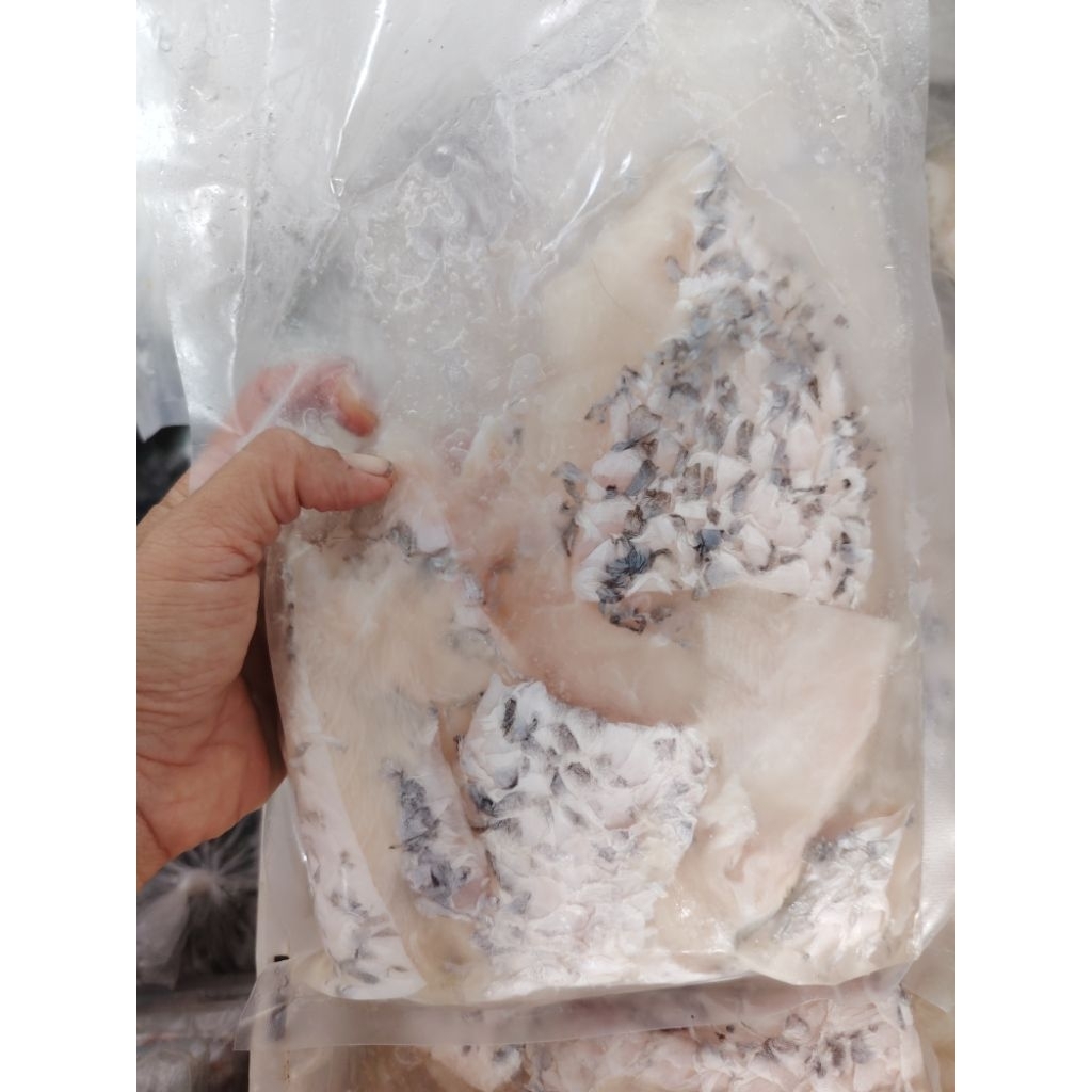 IKAN KAKAP PUTIH FILLET