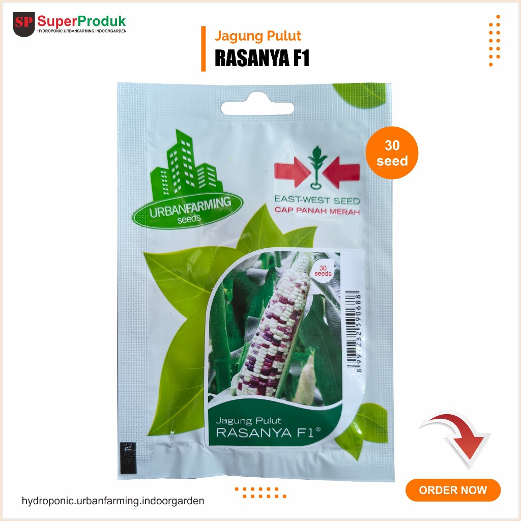 Benih Jagung Pulut Rasanya Panah Merah isi 30 biji