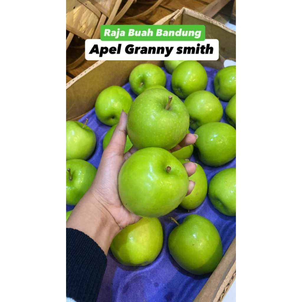 Apel Hijau Granny Smith USA