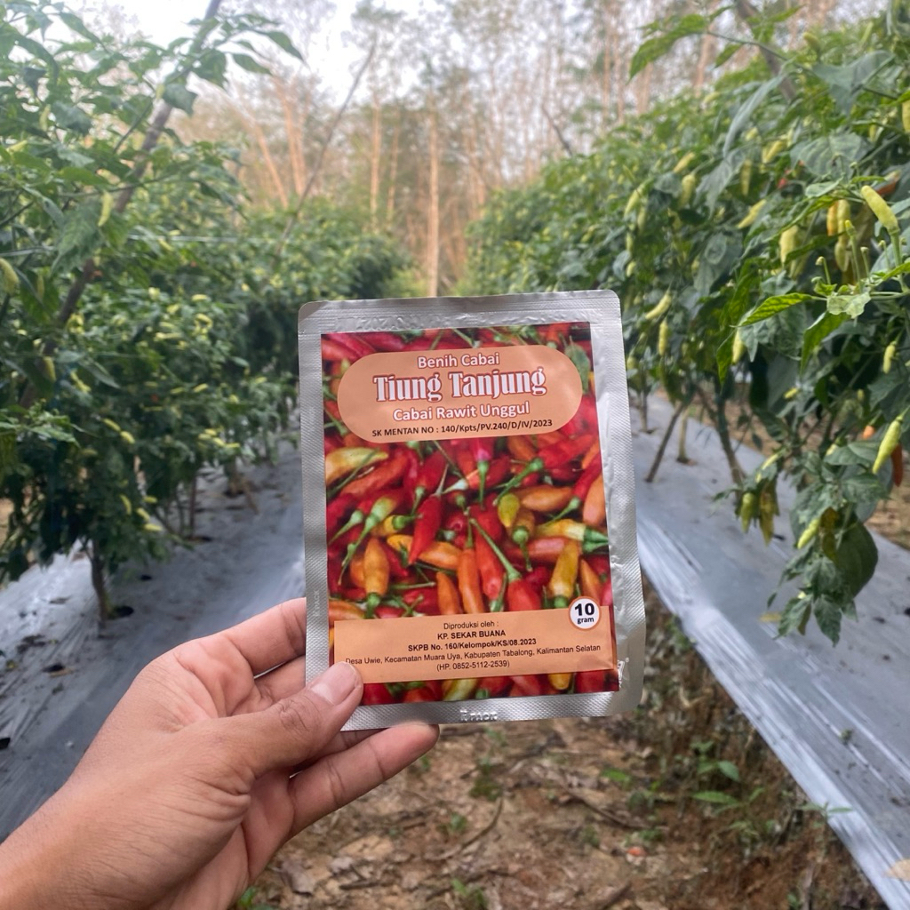 Benih Cabai Tiung Tanjung 10 gram KP. Sekar Buana