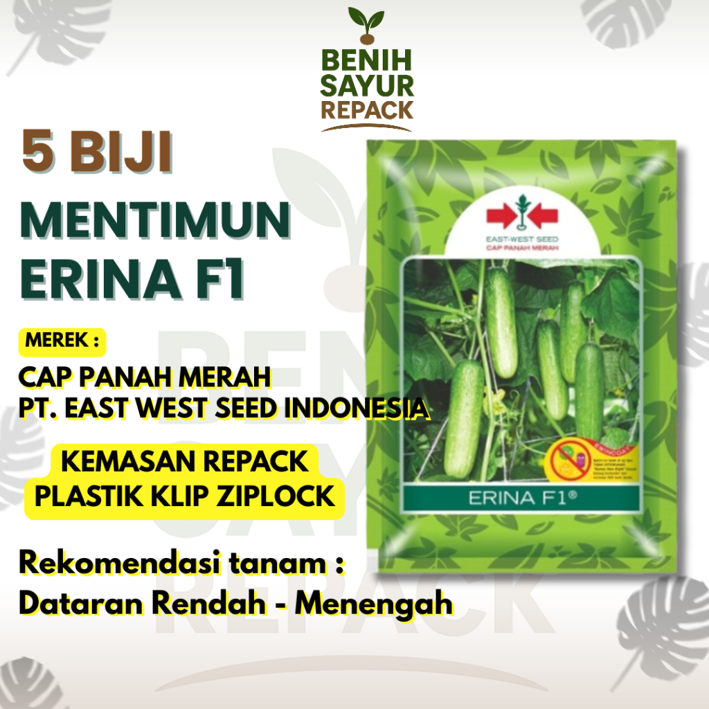 5 Biji Benih Timun / Mentimun Erina F1 Buah Ukuran Sedang - CAP PANAH MERAH MENTIMUN ERINA F1 [ BENI