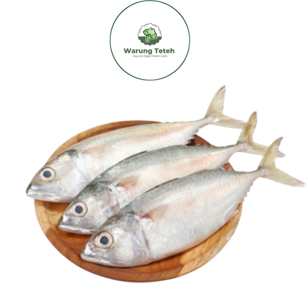 Ikan Kembung Kuring Segar 500gr - Siap Masak (Sudah Di Bersihkan)