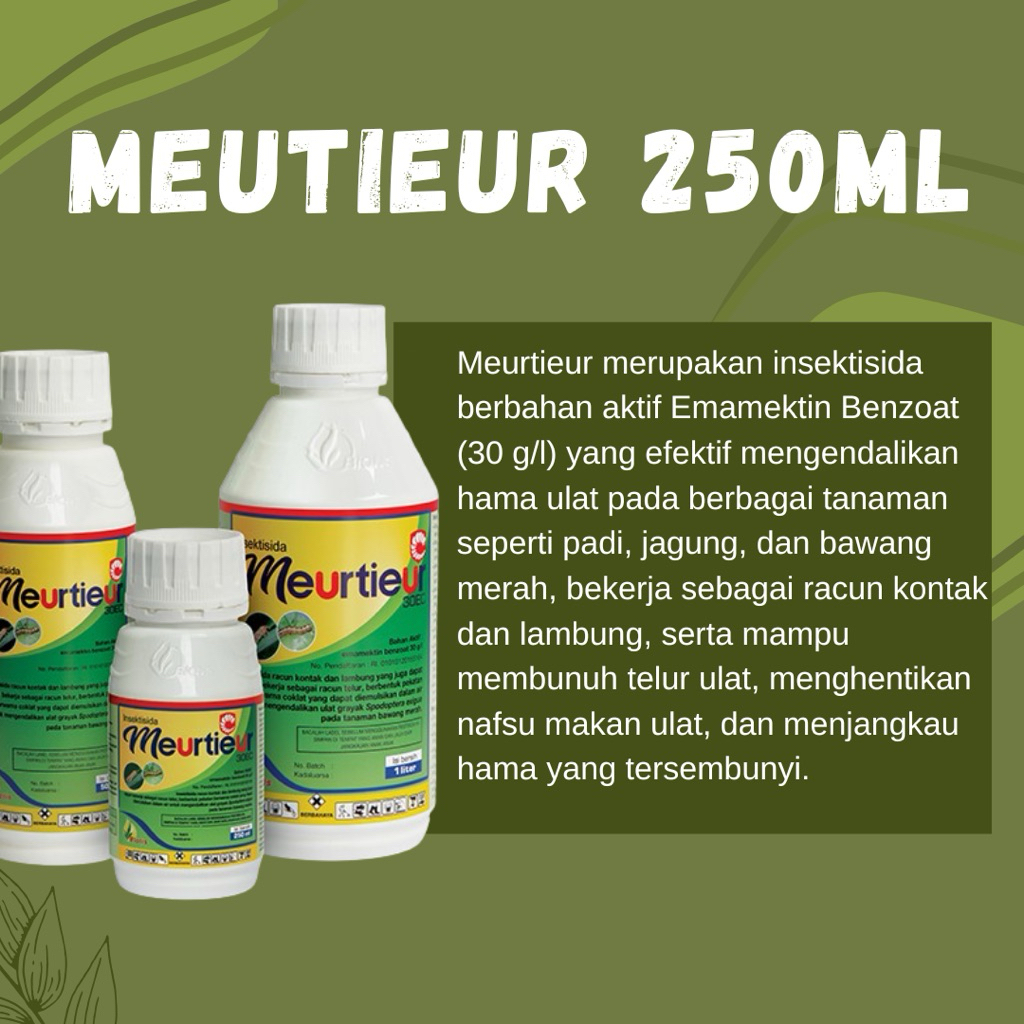 MEURTIEUR 250ML INSEKTISIDA