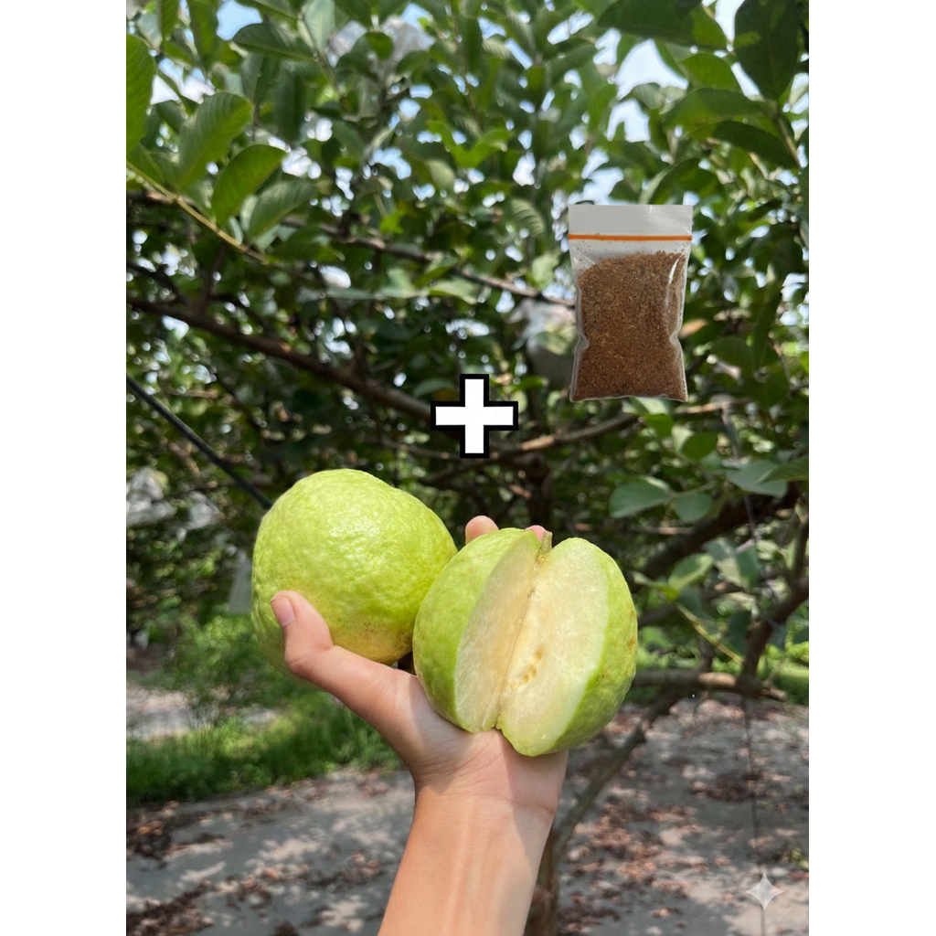 Paket jambu kristal + bumbu rujak