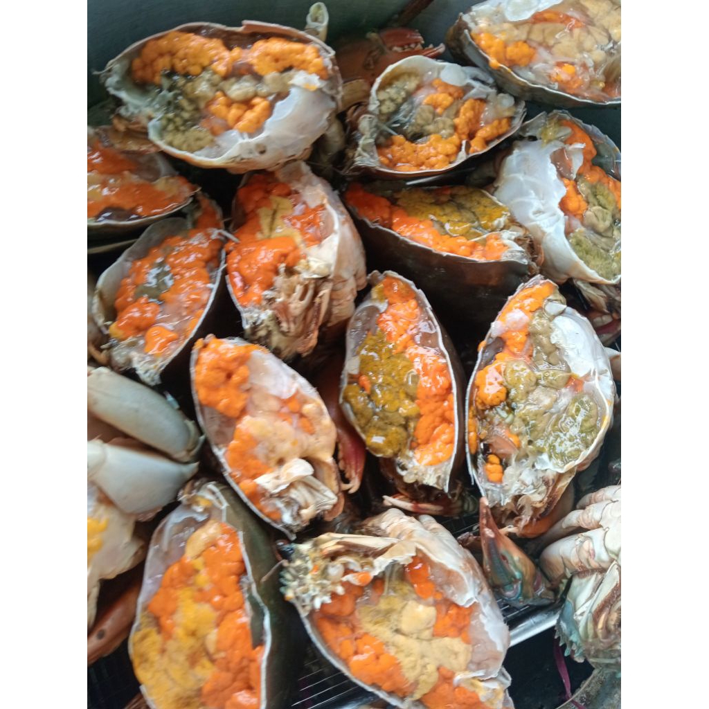 kepiting telur