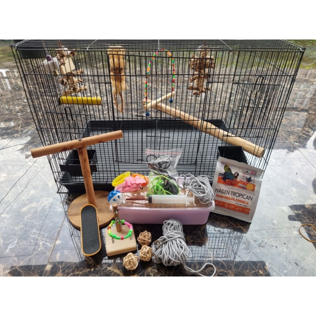 preloved/second/bekas kebutuhan/makanan/mainan parrot conure/lovebird