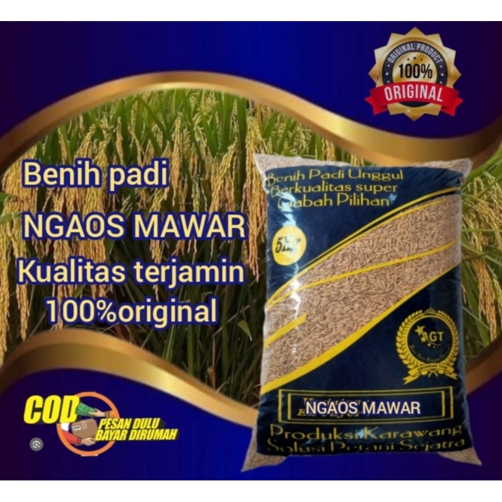 Benih padi NGAOS MAWAR kemasan 5kg