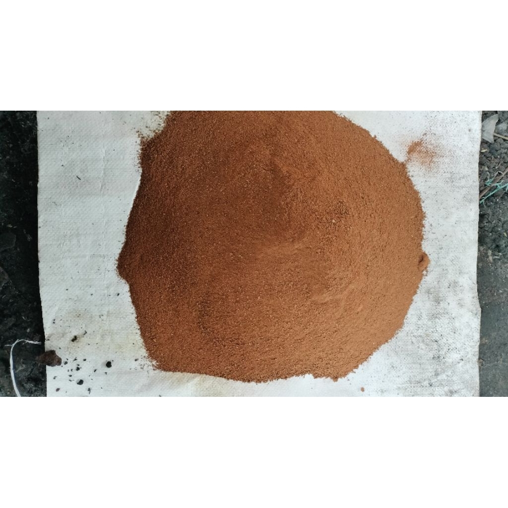 bubuk bata merah media telor asin