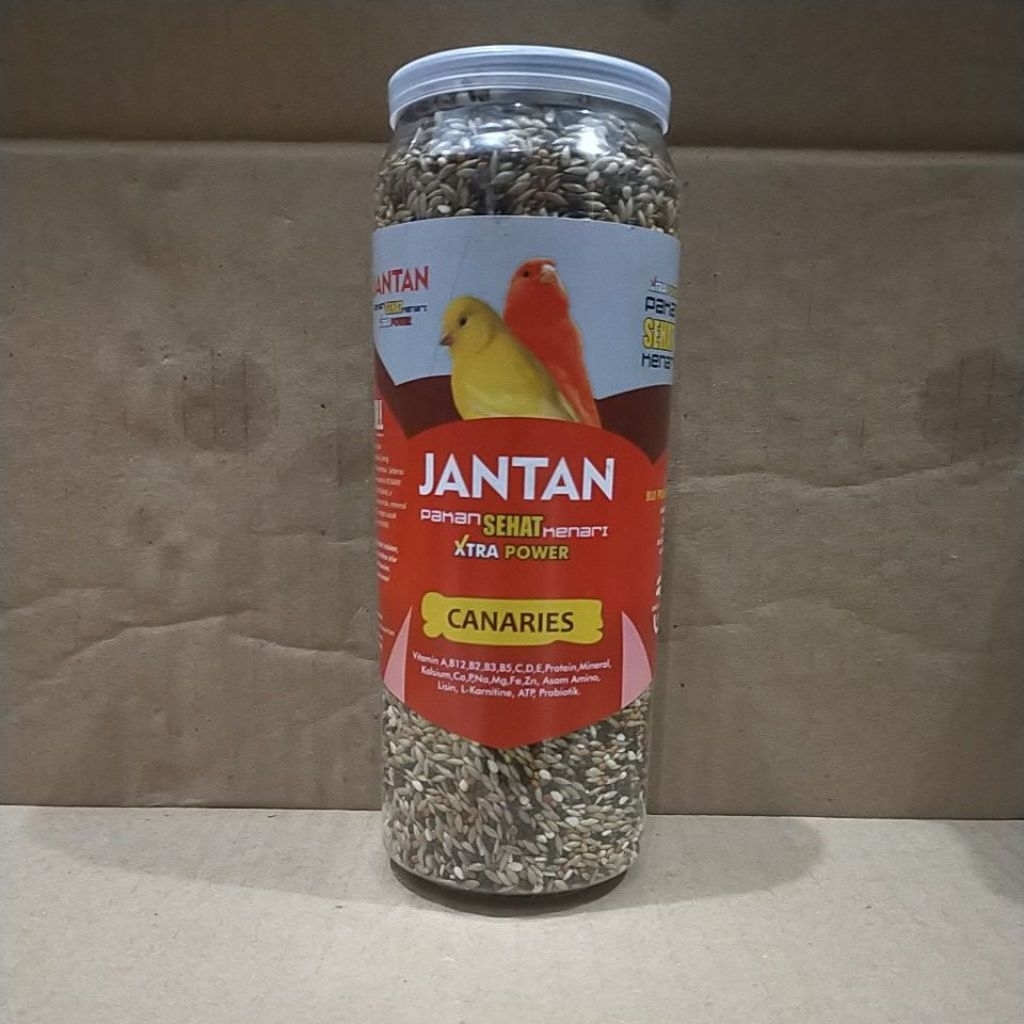 JANTAN SEHAT GACOR CAROL PAKAN BURUNG KENARI L JANTAN PAKAN KENARI PEJANTAN ISI BREEDING
