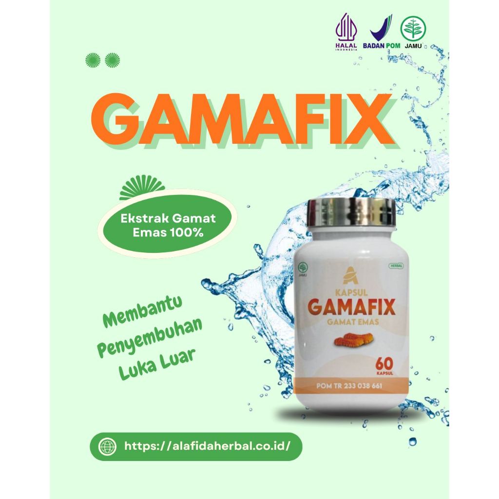 Kapsul Ekstrak Gamat Emas | Kapsul Gamafix | Obat Herbal Kaya akan Kolagen Penyembuh Luka