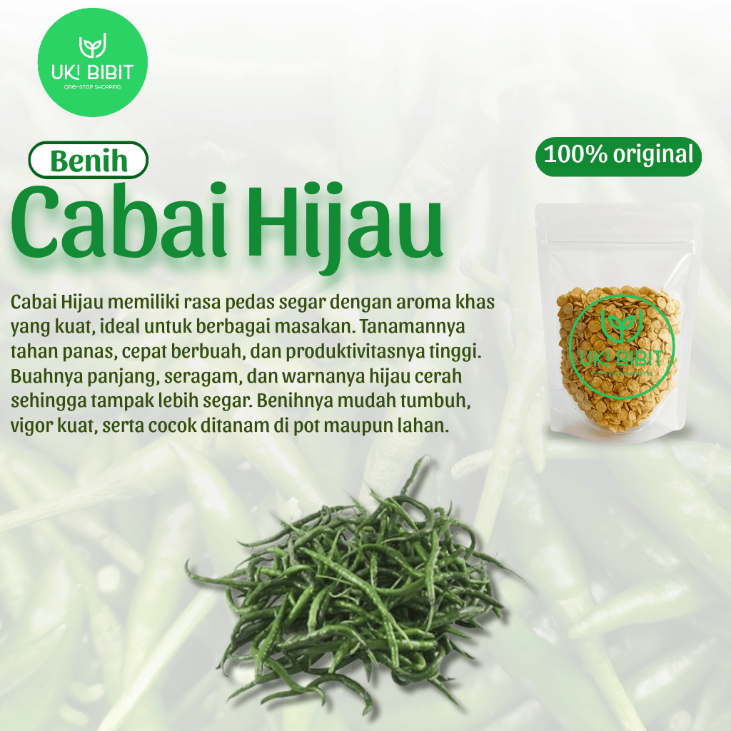 ( 10 Butir ) Benih Biji Cabai Hijau Panjang | Cabe Hijau Lombok | Cabe Hijau