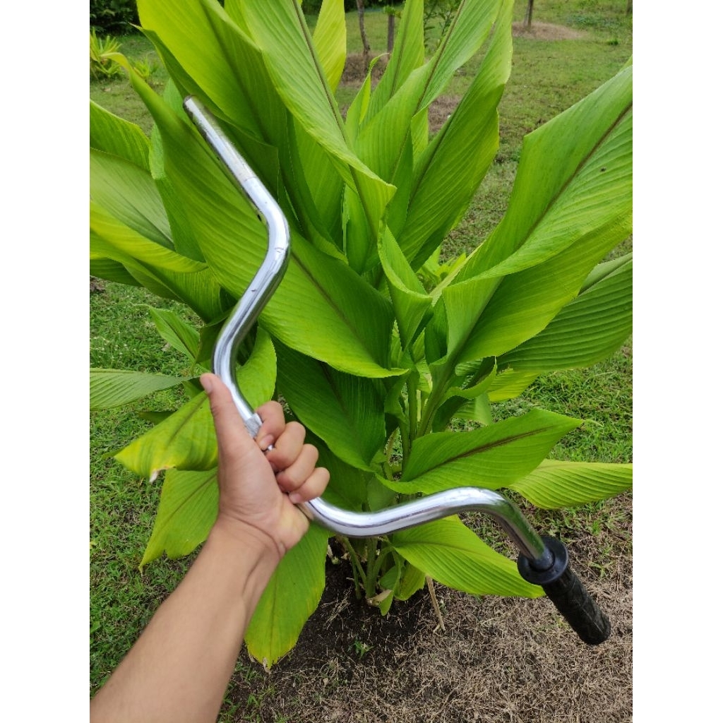 stang stir gl 100 original