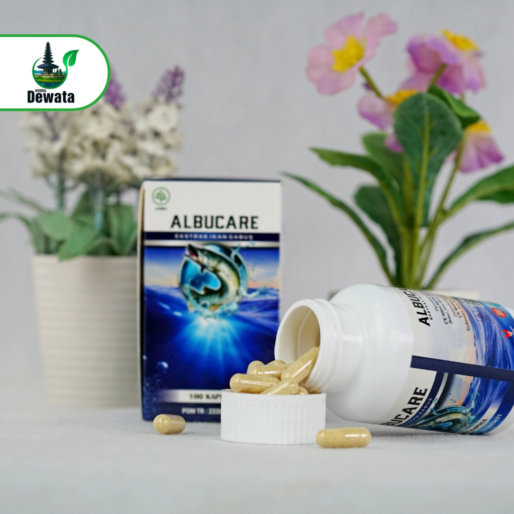 Kapsul Ikan Gabus Kapsul Ikan Kutuk  Obat Pasca Operasi ALBUCARE