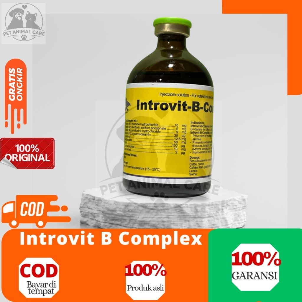 Introvit B Complex 100 ml Injeksi - Untuk Hewan ternak