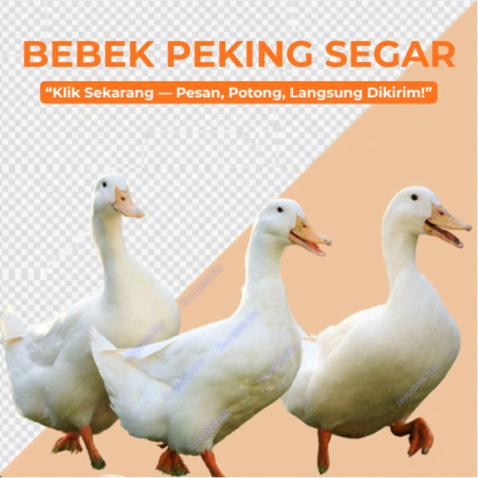 Bebek Peking Daging Bebek Segar Potong Dadakan Bukan Frozen 2kg Utuh Halal