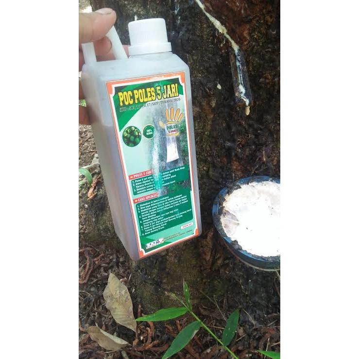 POC POLES 5 JARI VITAMIN GETAH KARET
