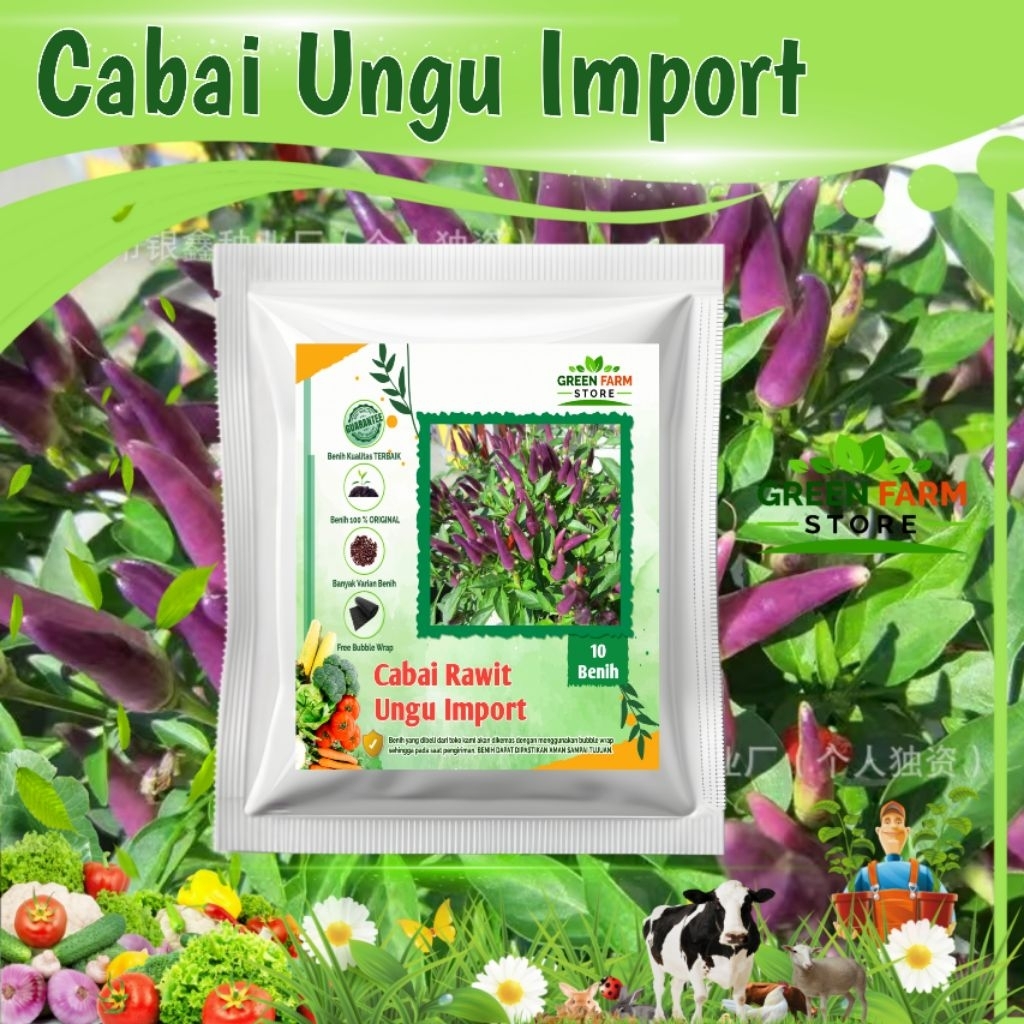 Benih Cabai Rawit Ungu Import (10 Benih)
