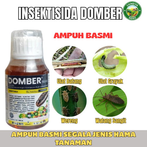 INSEKTISIDA DOMBER 150 EC MENGENDALIKAN ULAT GRAYAK, SUNDEP, PENGGEREK DAUN DAN HAMA LAINNYA