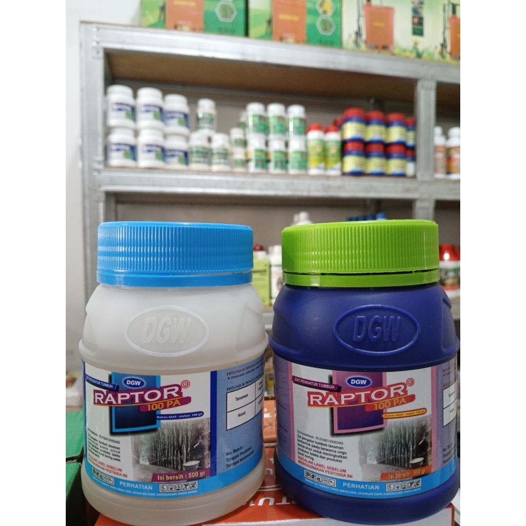 RAPTOR 100PA ZPT PERANGSANG KELUAR GETAH KARET 500ML