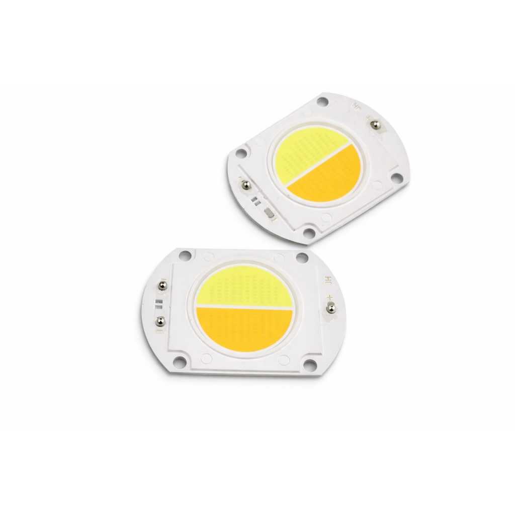 Mata Led 100W COB