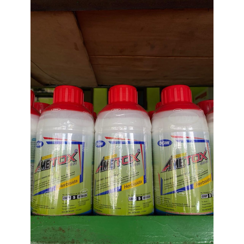 ametox herbisida selektif ampuh bunuh gulma  tanaman tebu