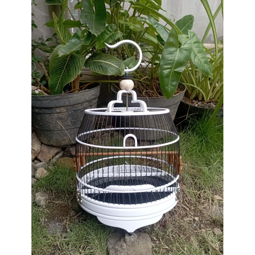 Sangkar cungkok pvc gentong d26 ruji fiber