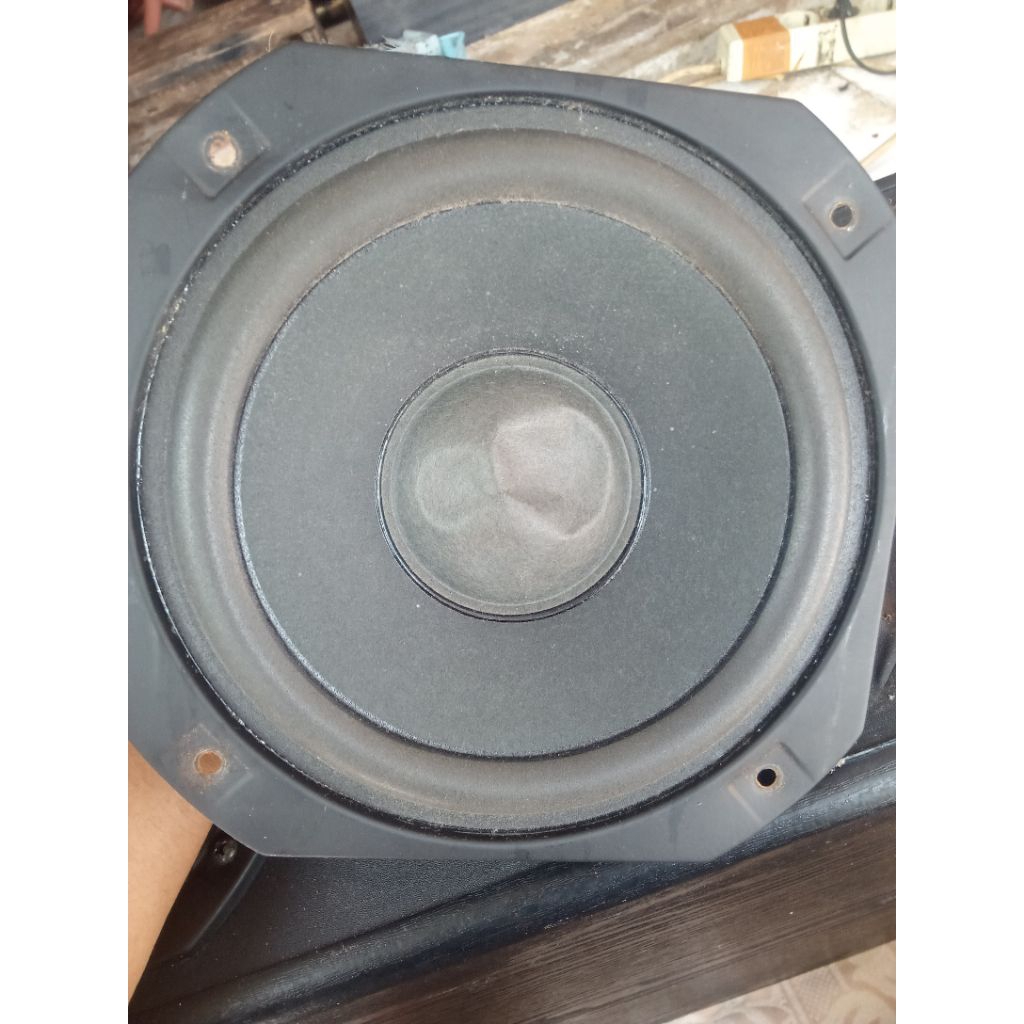 SPEAKER POLYTRON BIGBAND 6inch ORI CABUTAN