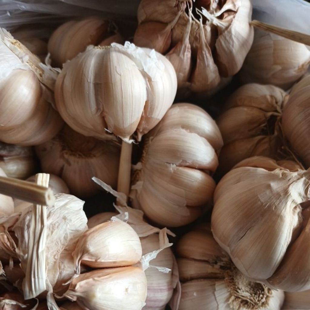 Bawang Putih  1 kg - Aroma Harum, Kualitas Premium, Siap Masak